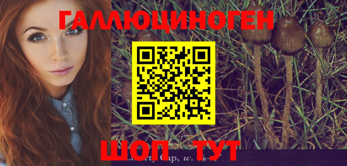 Галлюциногенные грибы MAGIC MUSHROOMS Волхов