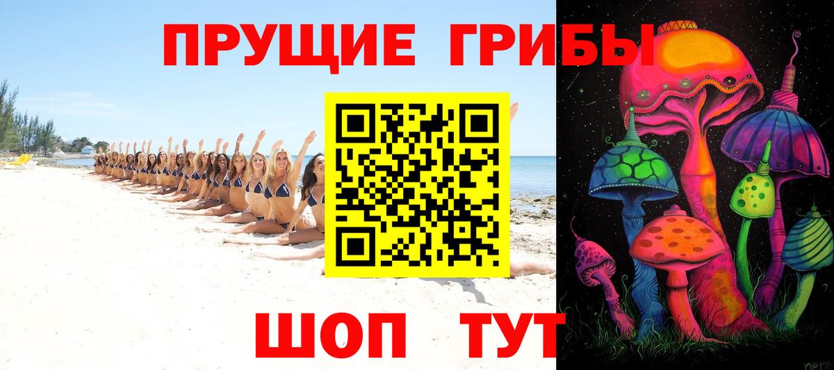 Псилоцибиновые грибы Psilocybine cubensis  Вход с VPN  Волхов 